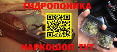 ALPHA-PVP Камышлов
