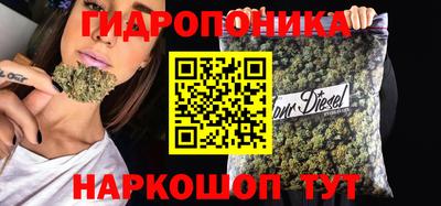 наркотики Кандалакша