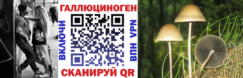 ссылка на мегу как зайти  Холмск  Псилоцибиновые грибы Magic Shrooms  что такое  