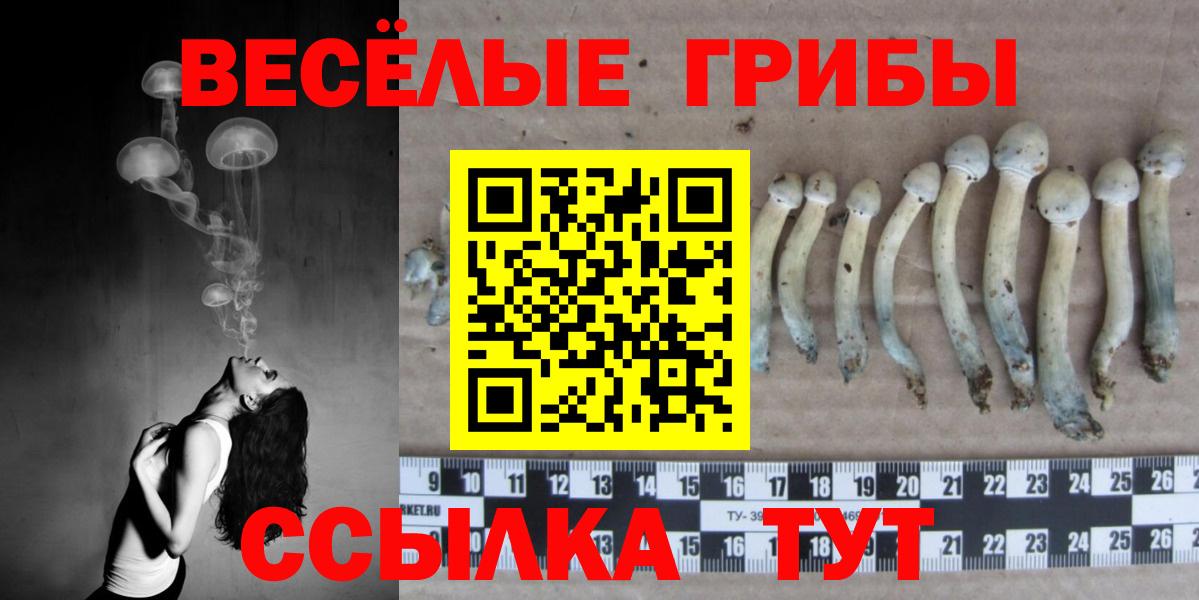 КОКАИН  Каннабис  Вход с VPN  Холмск  ГАШ  A PVP СК кристаллы  МЕФ кристаллы  Гашиш 