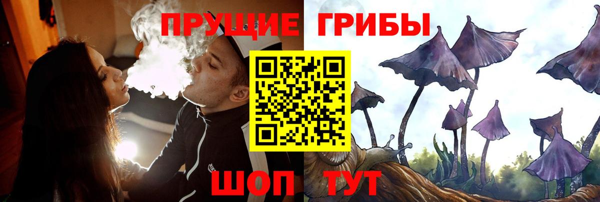 Холмск  Галлюциногенные грибы Psilocybe  Вход с VPN 